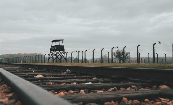 Home, belonging, and the Holocaust